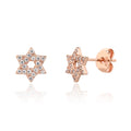 עגיל YXSI2674-2